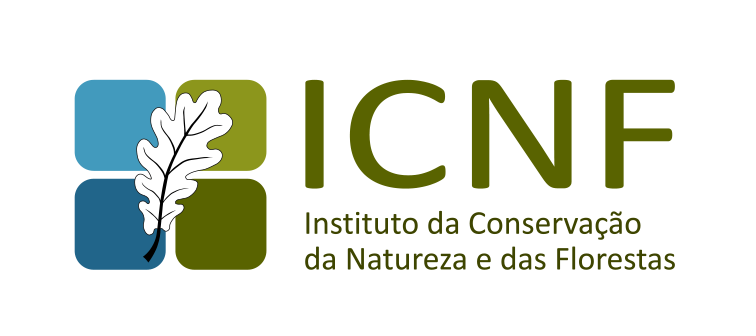 1 ICNF