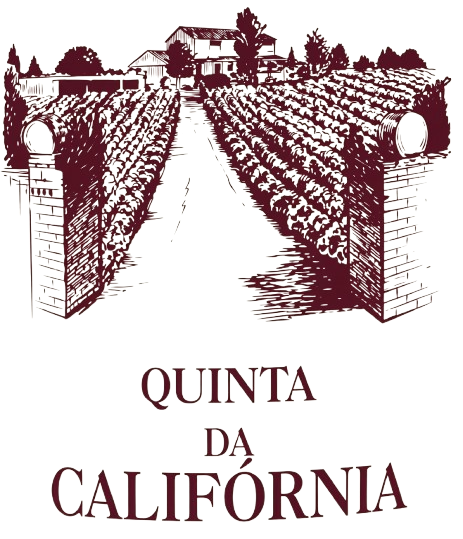 9 QUINTA CALIFÓRNIA
